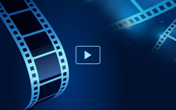 Tham Quan – Học Tập – Trải Nghiệm Cùng Học Sinh Trường Tiểu Học Nguyễn Trực